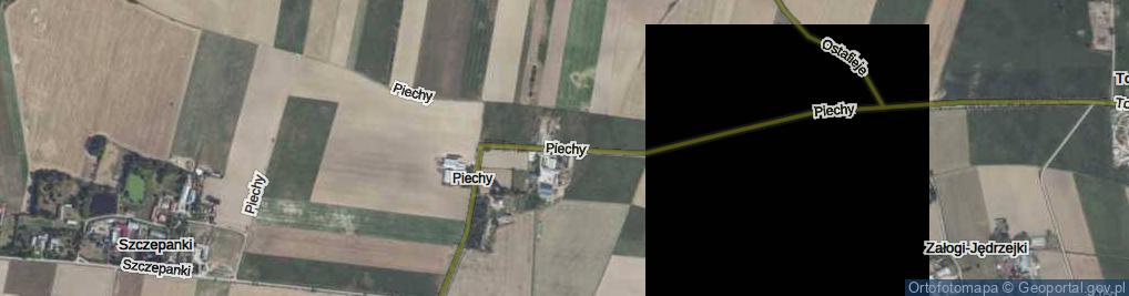 Zdjęcie satelitarne Piechy ul.