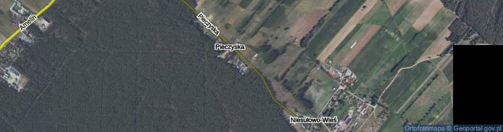 Zdjęcie satelitarne Pieczyska ul.