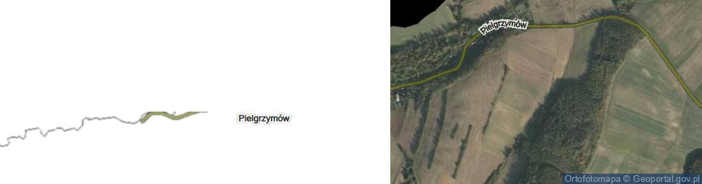 Zdjęcie satelitarne Pielgrzymów ul.