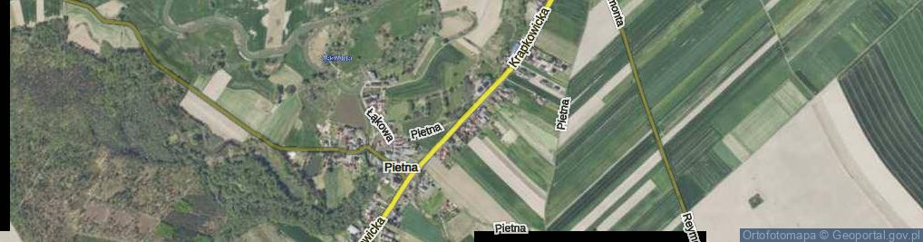 Zdjęcie satelitarne Pietna ul.