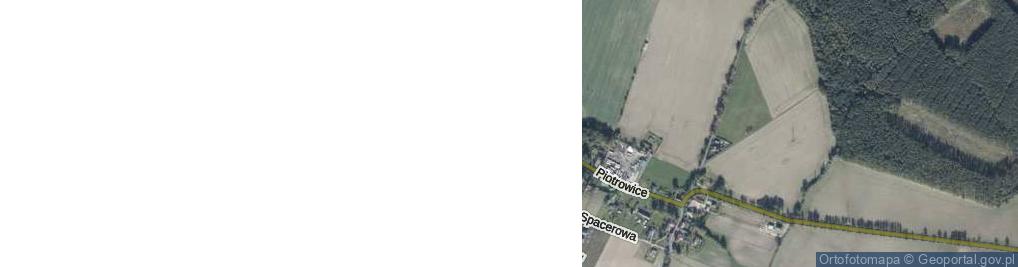 Zdjęcie satelitarne Piotrowice ul.