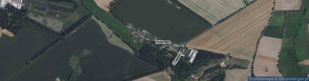 Zdjęcie satelitarne Piotrowo ul.