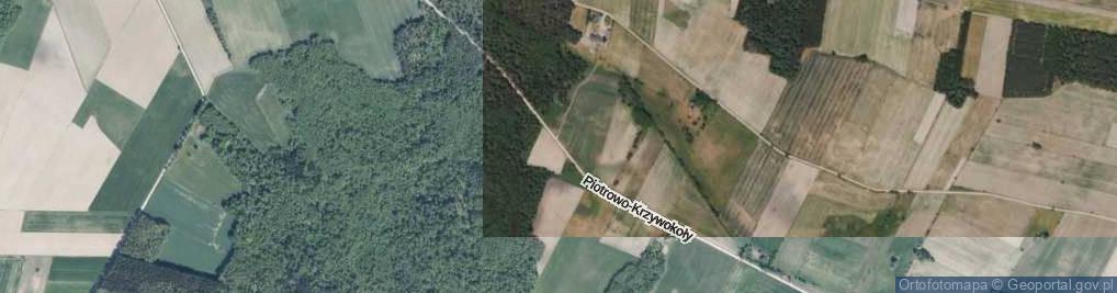 Zdjęcie satelitarne Piotrowo-Krzywokoły ul.