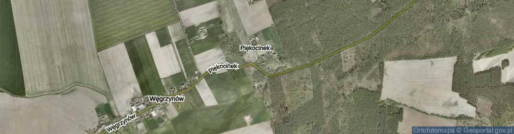 Zdjęcie satelitarne Piękocinek ul.