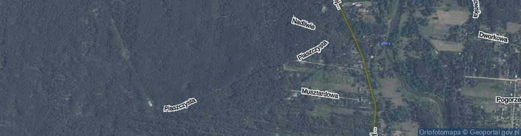 Zdjęcie satelitarne Piaszczysta ul.