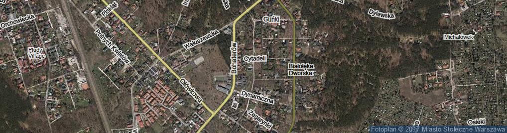 Zdjęcie satelitarne Pionierów ul.