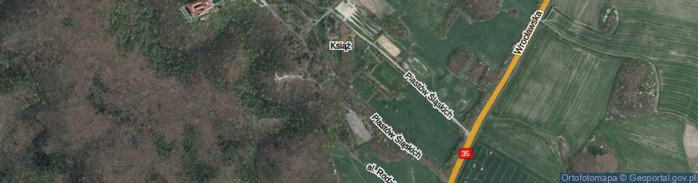 Zdjęcie satelitarne Piastów Śląskich ul.