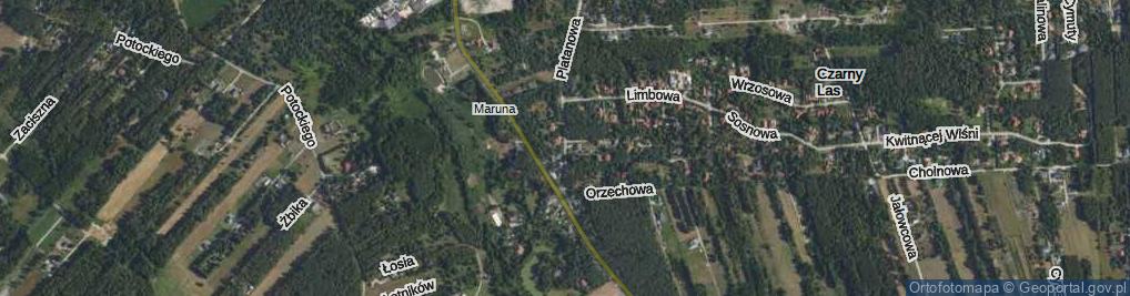 Zdjęcie satelitarne Platanowa ul.
