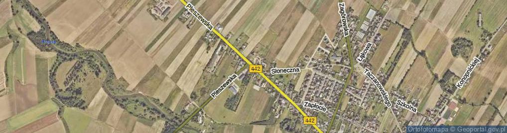 Zdjęcie satelitarne Pleszewska ul.