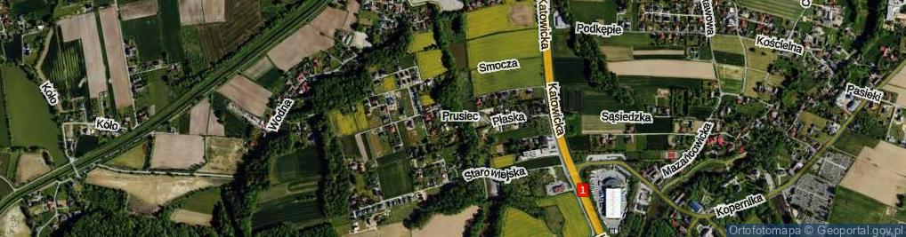 Zdjęcie satelitarne Płaska ul.