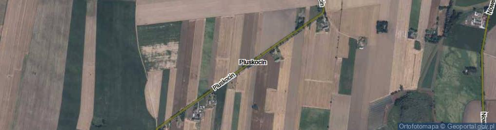 Zdjęcie satelitarne Pluskocin ul.