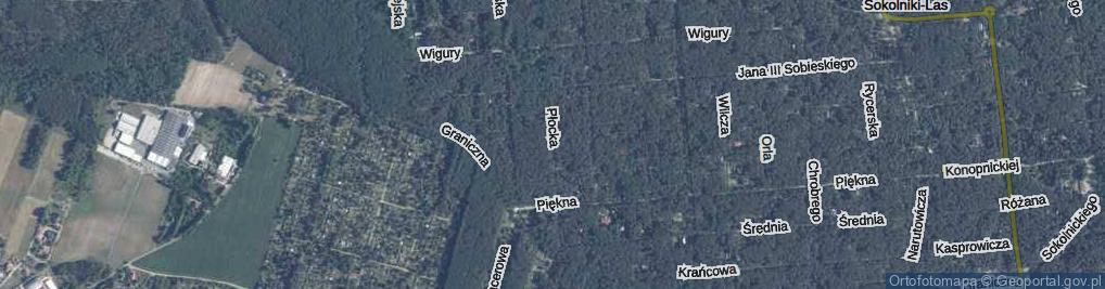 Zdjęcie satelitarne Płocka ul.