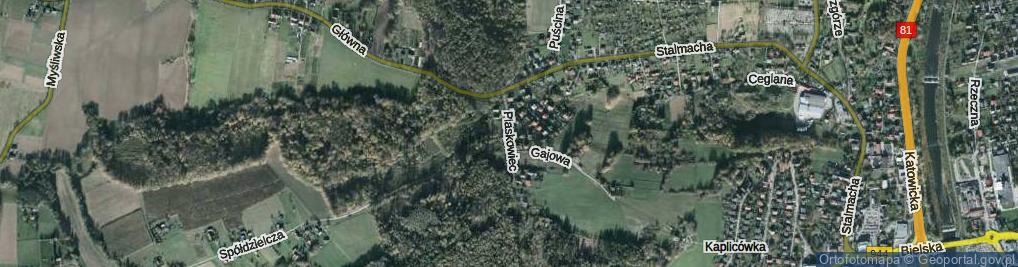 Zdjęcie satelitarne Plaskowiec ul.