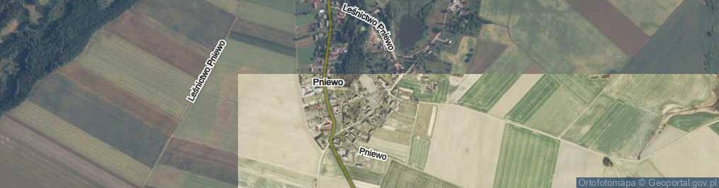 Zdjęcie satelitarne Pniewo ul.