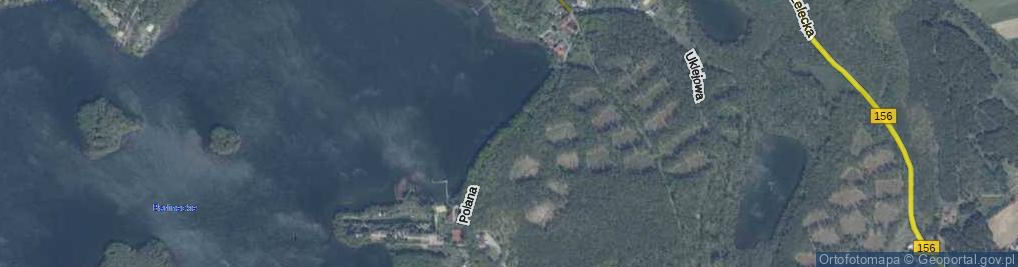Zdjęcie satelitarne Polana Lecha ul.