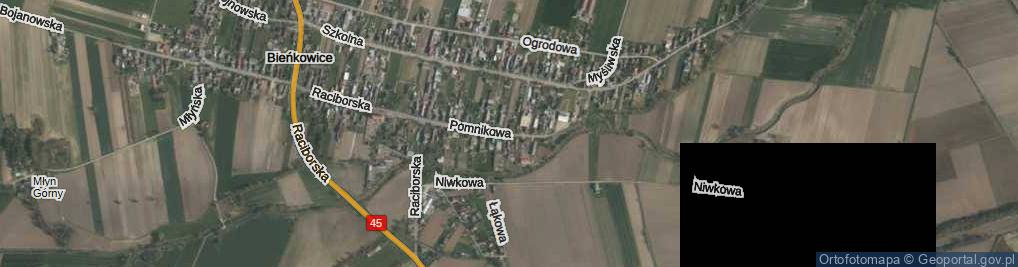 Zdjęcie satelitarne Pomnikowa ul.