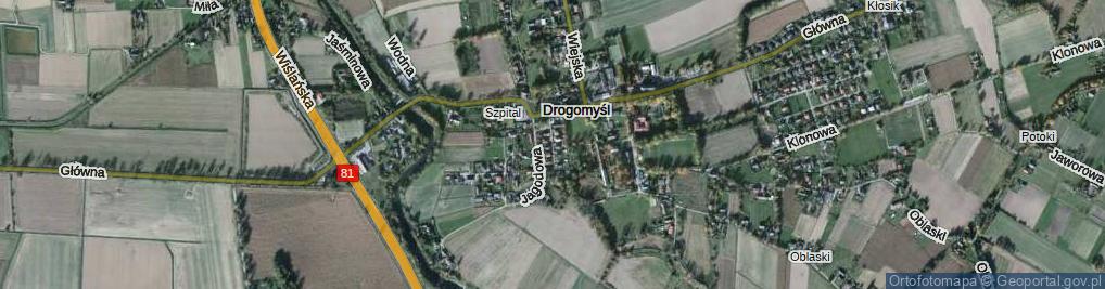 Zdjęcie satelitarne Pogodna ul.
