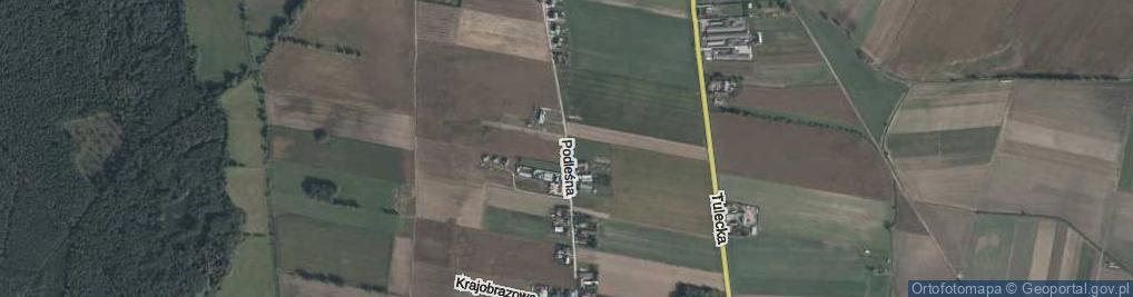 Zdjęcie satelitarne Podleśna ul.