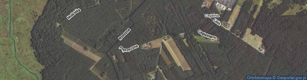 Zdjęcie satelitarne Poprzeczna ul.