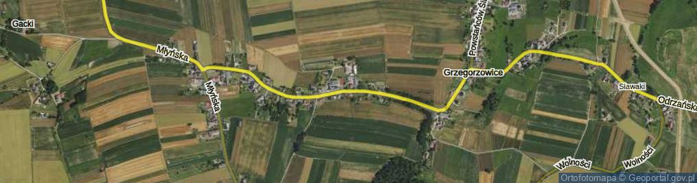 Zdjęcie satelitarne Powstańców Śląskich ul.