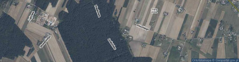 Zdjęcie satelitarne Poziomkowa ul.