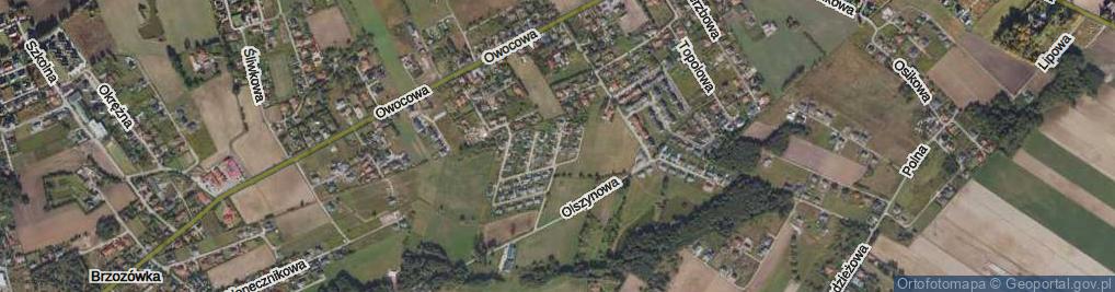 Zdjęcie satelitarne Pomarańczowa ul.