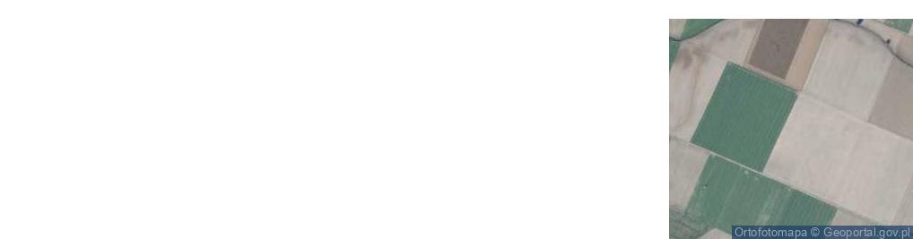 Zdjęcie satelitarne Poznańska ul.