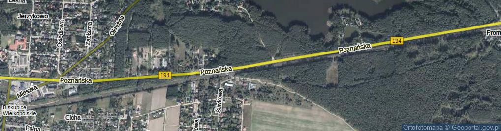 Zdjęcie satelitarne Poznańska ul.