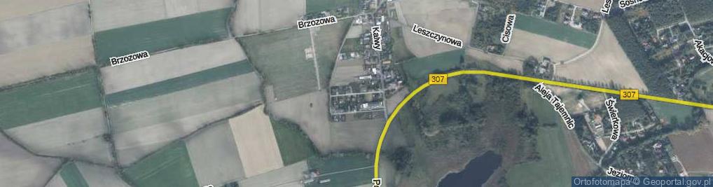 Zdjęcie satelitarne Podgórna ul.