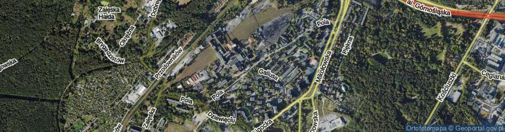 Zdjęcie satelitarne Pola Wincentego ul.