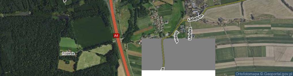 Zdjęcie satelitarne Podlesie ul.