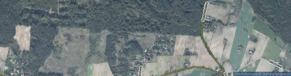 Zdjęcie satelitarne Pod Lasem ul.
