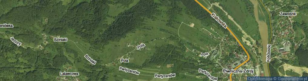 Zdjęcie satelitarne Pola ul.