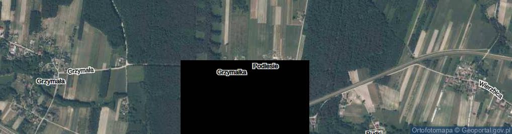 Zdjęcie satelitarne Podlesie ul.