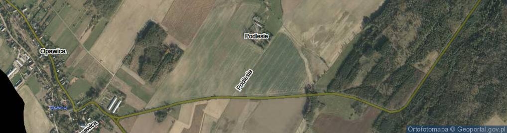Zdjęcie satelitarne Podlesie ul.