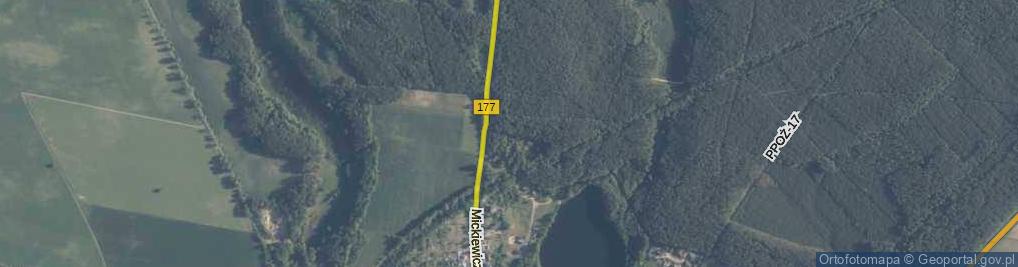 Zdjęcie satelitarne Podlesie ul.