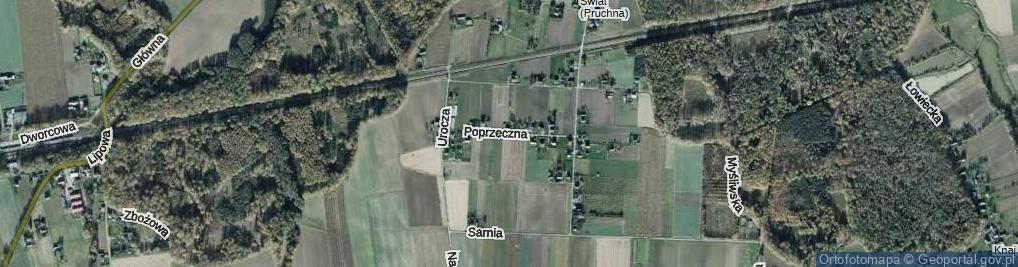 Zdjęcie satelitarne Poprzeczna ul.