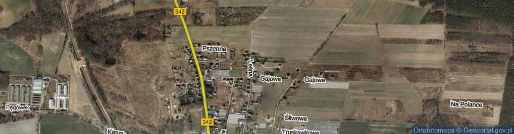 Zdjęcie satelitarne Pod Lasem ul.