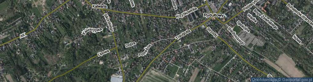 Zdjęcie satelitarne Podleśna ul.