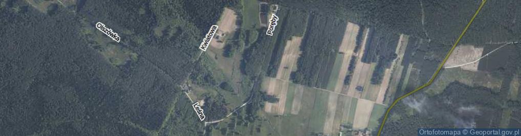 Zdjęcie satelitarne Poręby ul.