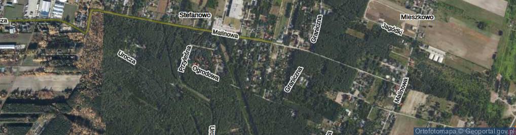Zdjęcie satelitarne Polnych Bratków ul.