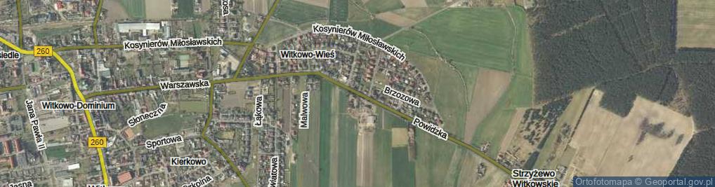Zdjęcie satelitarne Powidzka ul.