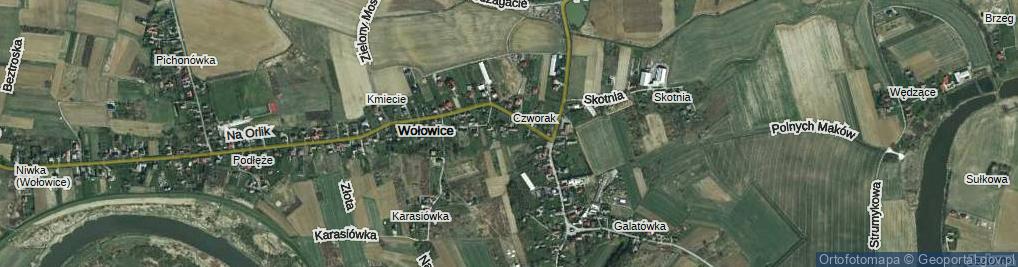 Zdjęcie satelitarne Pod Wierzbami ul.