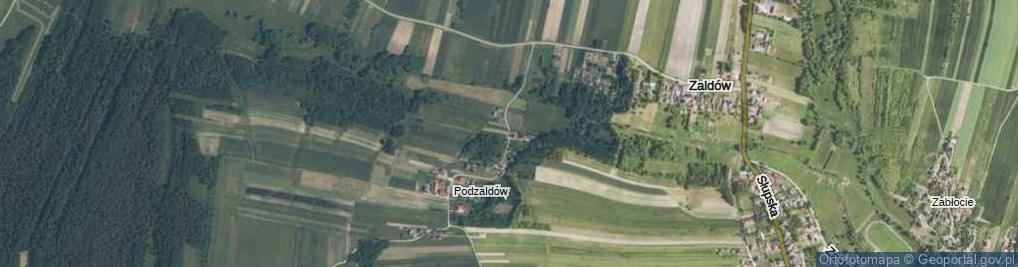 Zdjęcie satelitarne Podzaldów ul.