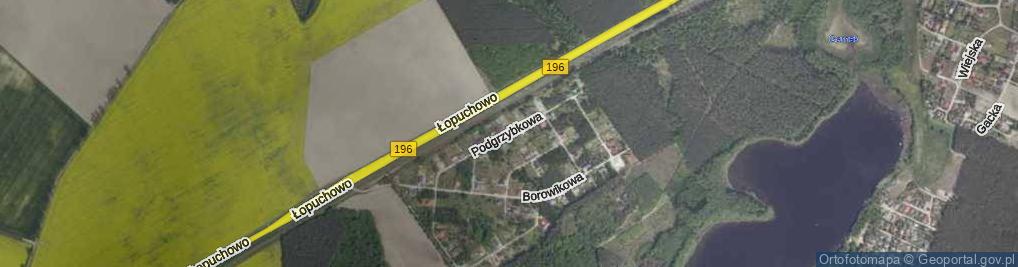 Zdjęcie satelitarne Podgrzybkowa ul.