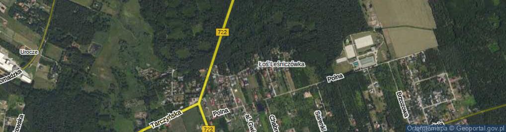 Zdjęcie satelitarne Podleśna ul.