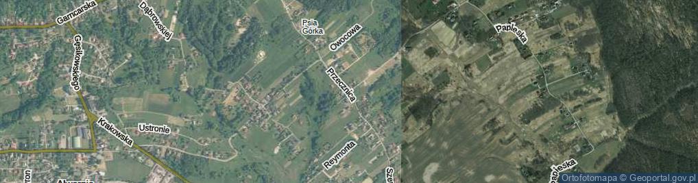 Zdjęcie satelitarne Przecznica ul.