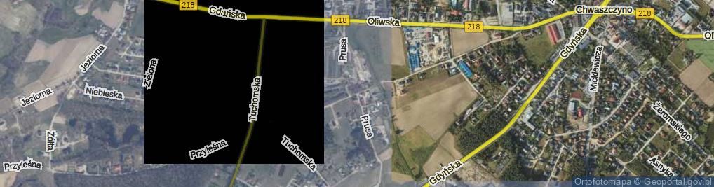 Zdjęcie satelitarne Prusa ul.