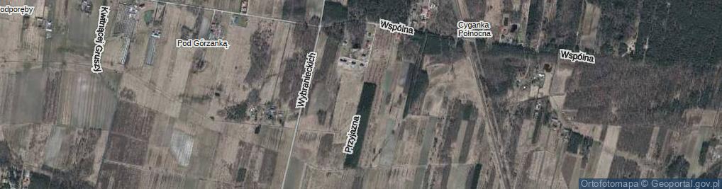 Zdjęcie satelitarne Przyjazna ul.