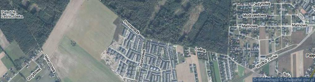 Zdjęcie satelitarne Promenada ul.